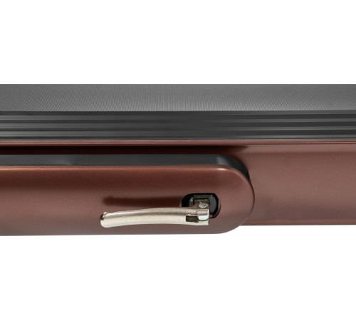 Беговая дорожка Titanium Masters Slimtech C10, коричневая