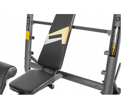 Скамья Hasttings HastDual Pro