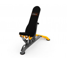 Скамья универсальная STONERISE DS01