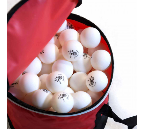 Мячи Dragon Training Silver 1* New (144 шт, бел.) в сумке