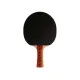 Ракетка DONIC Testra OFF