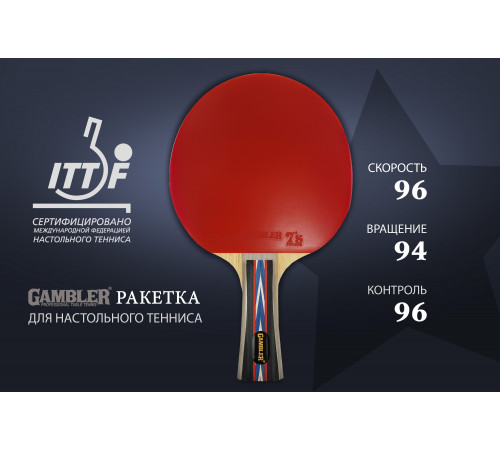 Ракетка Gambler 6 STAR (коническая)