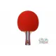 Ракетка для н/т Double Fish (1A+C серия)